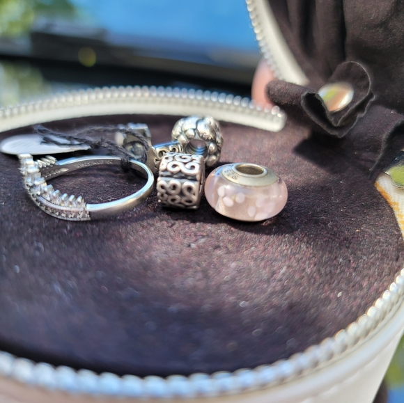 Pandora Bundle - Retired Charms, Wishbone Ring (9) & Limited Edition Case! - Picture 14 of 16